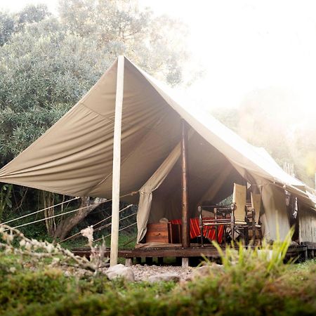 Quatermain'S 1920'S Safari Camp - Амакала Гейм Ризърв Екстериор снимка