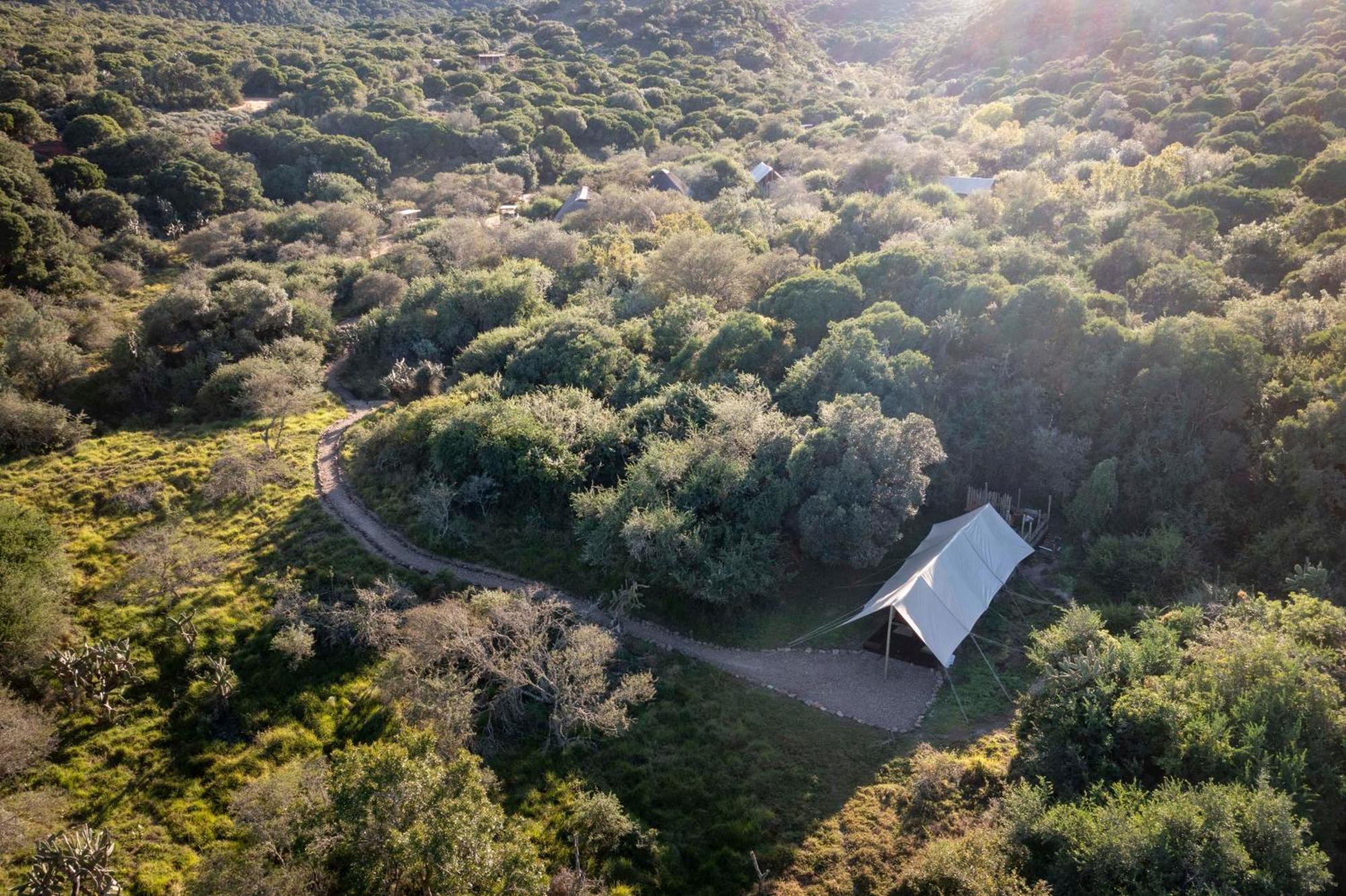 Quatermain'S 1920'S Safari Camp - Амакала Гейм Ризърв Екстериор снимка