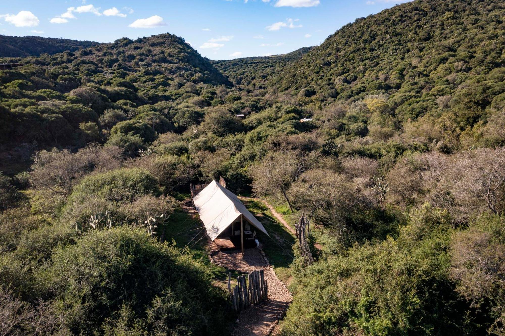 Quatermain'S 1920'S Safari Camp - Амакала Гейм Ризърв Екстериор снимка